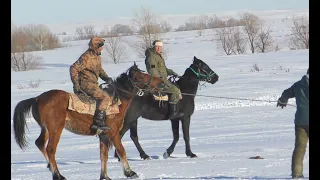 Жизнь на конеферме. Конец февраля 2024г.