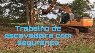 #2 Derrubando árvore grande com segurança / Escavadeira hidráulica CASE