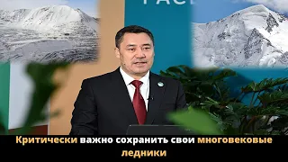 Критически важно сохранить свои многовековые ледники