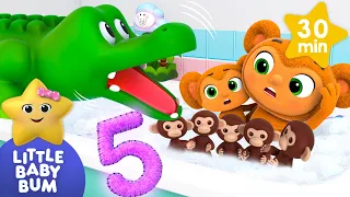 Five Little Monkeys |  Animal Songs | Little Baby Bum