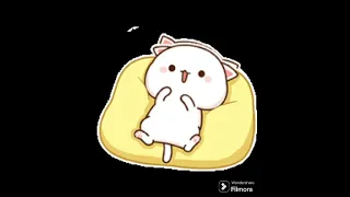 cute cat animations