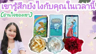 อ่านใจของเขา(เขารู้สึกยังไงกับคุณในเวลานี้)🌹pick a deck🌠💍👩‍❤️‍👨💒🌳🍀