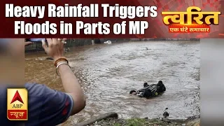 Twarit Dukh: More Than Dozen Villages Drown in Rain Water in MP's Damoh District | ABP News