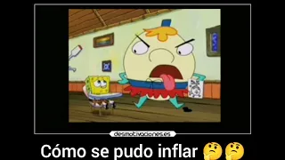 Patricio en la escuela y un pájaro habla xd 🥵🤔🤑 Bob momentos divertidos