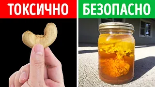 100 запрещенных вещей по всему миру, которые вас удивят!