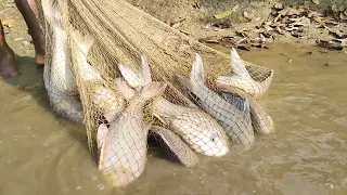Best Net Fishing | Traditional Cast Net Fishing Video | Big Fish Hunting By Cast Net (Part-36)