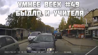 УМНЕЕ ВСЕХ #49. БЫДЛО И УЧИТЕЛЯ НА ДОРОГЕ