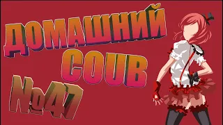 Домашний COUB #47