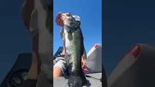 Nice largemouth bass! #classic #bass #bassfishing #viral