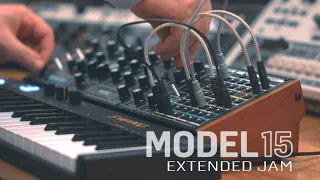 MODEL 15 - Extended Jam