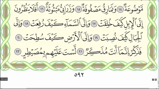 Коран. Сура "Аль-Гашия" № 88 (до конца). #коран #ислам #арабскийязык