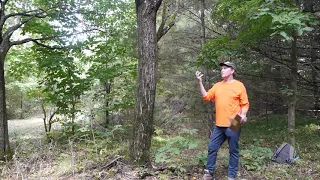 Informational Butternut Tree Forest Walk