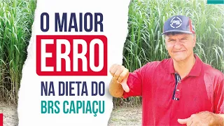 ⚠️ BRS CAPIAÇU - NÃO COMETA ESSE ERRO.