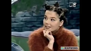 Stan Twitter: Bjork gives her thoughts on farts