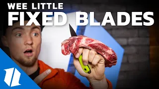 Ultimate Small Fixed Blade Test & Comparison | Week One Wednesday | Live