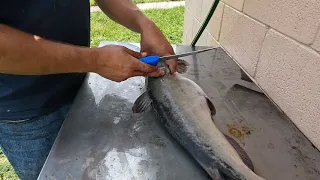 How to fillet a catfish