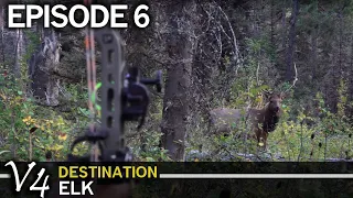 Two Elk Tags Filled in One Morning: EPISODE 6 (Destination Elk V4)