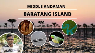 Baratang Island Andaman Tourist Places | Tour Plan | Limestone Caves | Mud Volcano & Parrot Island