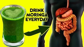 10 Amazing Health Benefits Of Drinking Moringa Every Day | What Happens When You Drink Moringa