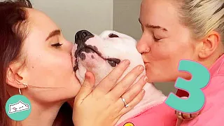 Three Humans Who Didn’t Want Animals but Changed Their Mind | Cuddle Buddies