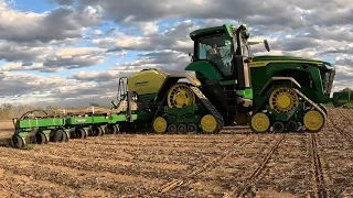 Spring beans getting planted!