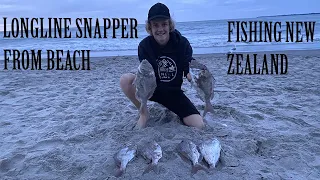 Longline Fishing New Zealand - Nice Haul Of Snapper!