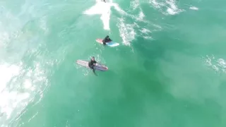 Surfing Muizenberg Part 2