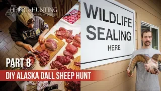 GETTING RAM SEALED & PROCESSING MEAT - DIY AK Dall Sheep Hunt (Part 8 of 8)