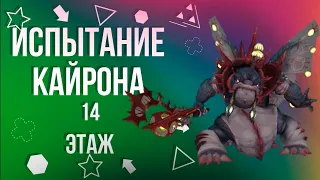 Испытание Кайрона • 14 Этаж [New Dragon Nest]