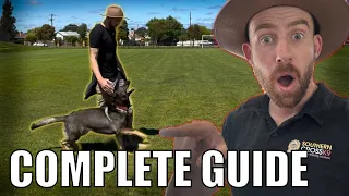 How to teach Competition Heeling! Easy Guide!