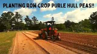 Planting Row Crop Purple Hull Peas || Covington TP-46