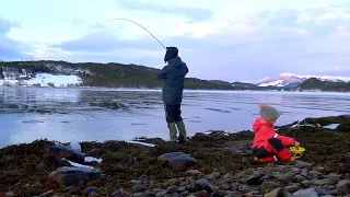 Рыбалка в Норвегии в феврале 2022. Ловим прямо у границы льда! Как поймать треску зимой. Треска.