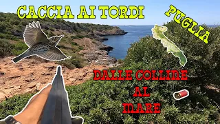 CACCIA AI TORDI PUGLIA DALLE COLLINE AL MARE  IN  CAL.28 CON PORTED, SPIEGAZIONE PREAPERTURA CACCIA