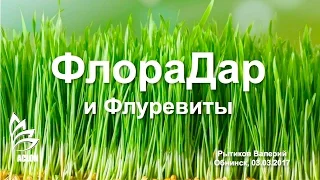 Флорадар и Флуревиты. Рытиков. Обнинск, 3 марта 2017