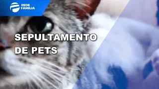 Edição Manhã - PL prevê sepultamento de animais em cemitérios de Campinas