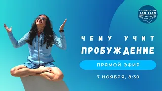 Чему учит пробуждение | Прямой эфир + медитация | Ян Тиан