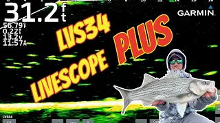 20 Minutes of EPIC LIVESCOPE Bites!! (New Garmin LVS34 Transducer)