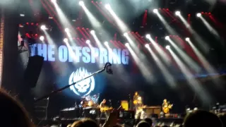 The Offspring - Rock en Seine 2015