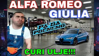 ALFA ROMEO GIULIA-CURI ULJE