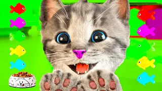 LITTLE KITTEN ADVENTURE LONG SPECIAL MEOW - FUNNY CARTOON ANIMALS - KITTY LONG VIDEO