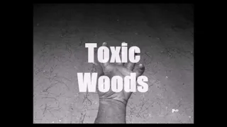 Toxic Woods Updates