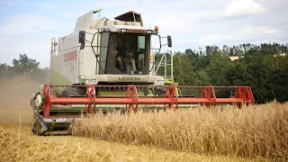 Sladovnický ječmen | Rok zemědělce