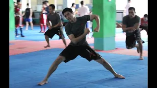 JOHNNY TRI NGUYEN | The best training Martial atrs