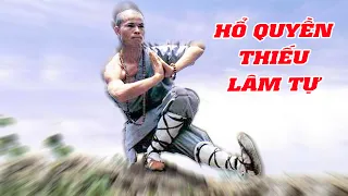 Phim Mới 2023 - Hổ Quyền Thiếu Lâm Tự | Phim Hành Động Võ Thuật Mới Nhất 2023 | Full HD