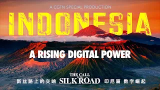 Indonesia's rise as a digital power: 'The Call of the Silk Road'