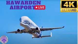 🔴4K Airbus BELUGA Special🔴 Live from Hawarden Airport |Wednesday 22.02.2023| #live #beluga #a300