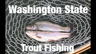 Washington State Rainbow Trout Fishing (Limits)