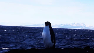 2015-2016 Antarctica 0 Trailer