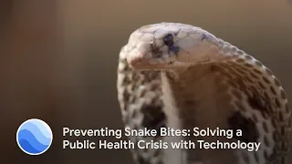 Preventing Snake Bites: Solving a Public Health Crisis with Technology