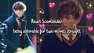 newt scamander being adorable for two movies straight